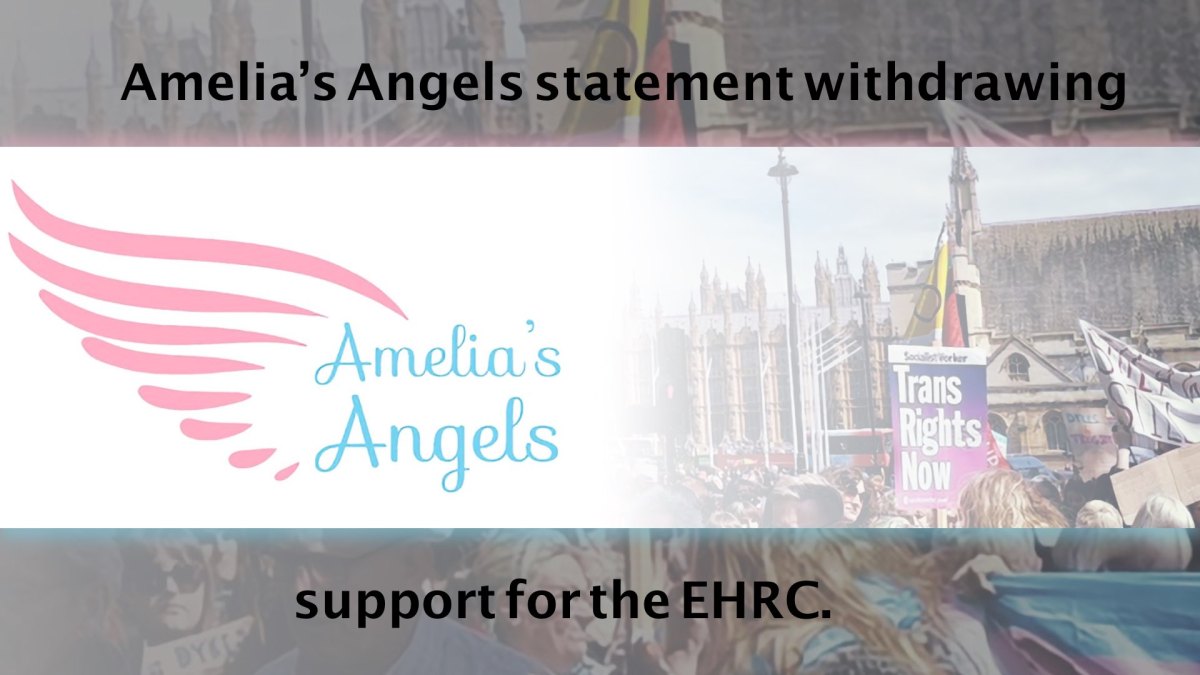 Amelia’s Angels statement withdrawing support for the EHRC.